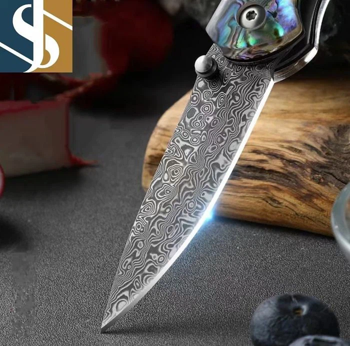 5061731152973_.pic(001)