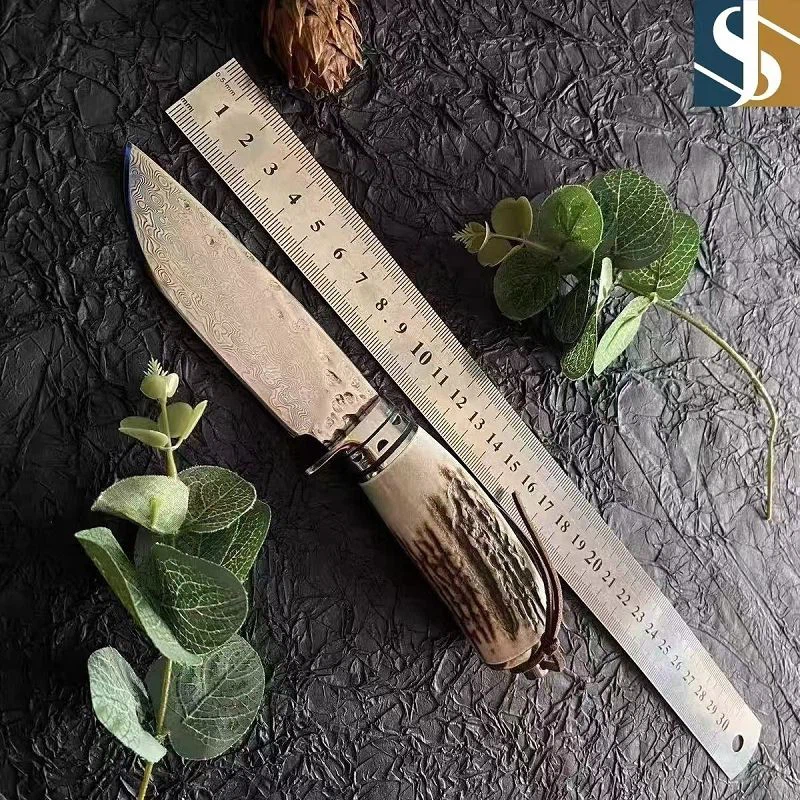 3551730259889_.pic(001)